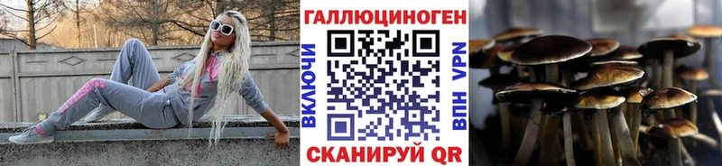 наркота  Берёзовский  Псилоцибиновые грибы мицелий 